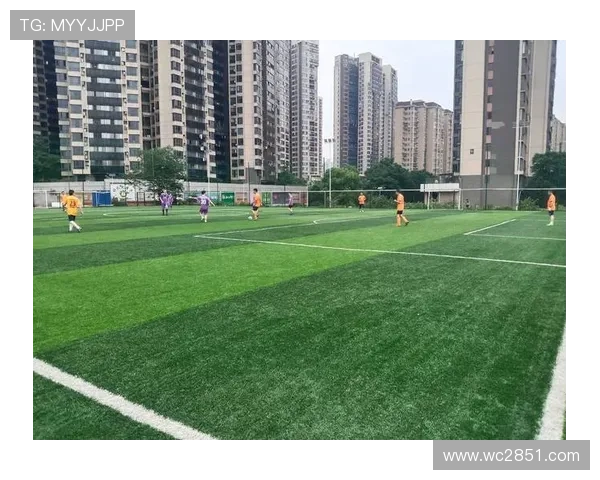 北环河南建业直播：绿茵场上的激情对决